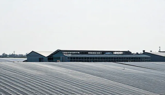 北京哪里做网站好，技术型产品如何实现高效转化